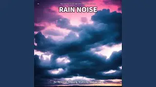 Exquisite Sound