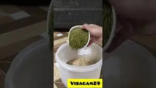 Multigrain roti powder... protein rich roti....#shortvideo #shorts