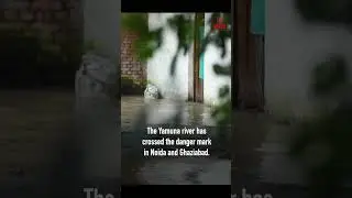 Delhi-NCR floods | Yamuna crosses danger mark, 600 evacuated as river swells