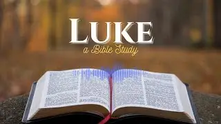 Bible Study: Luke 14:1-24