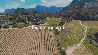 Vol. I - BEAU CONSTANTIA