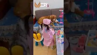 OMG Animals SOO Cute! Videos Compilation cutest and funniest moment of the animals #46
