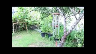 Vindspel Nature`s Melody 36