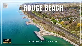 Rouge Beach in Toronto | 4K video with drone shots | Attractions in Scarborough [Tamil]