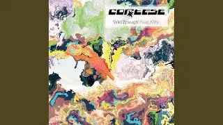 Wild Enough (feat. Kitty) [Higgo Remix Edit]