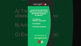 CONSEJOS VETERINARIOS 🐶😻🐴🦅🦉🪱