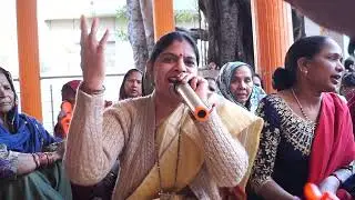 चला चला रे ड्राइवर गाड़ी होले होले मैया को दर्शन के मेरा मन डोले।। माता रानी के भजन
