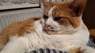 It is sleepytime and camera is still on