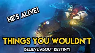20+ THINGS YOU WOULDN&rsquo;T BELIEVE ABOUT DESTINY 5 YEARS AGO
