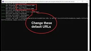 Set Start URL in ASP.NET Core