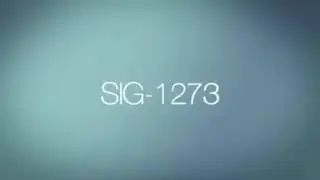 Discovery of SIG-1273 ✔