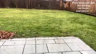 : 30+ Mins Backyard Rain & Gutter Drips | No Talking ASMR for Sleep or Studying  