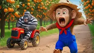 Monkey Nana the Tractor and the Unexpected Road Repair After the Big Rain - NANA MONKEY LIFE