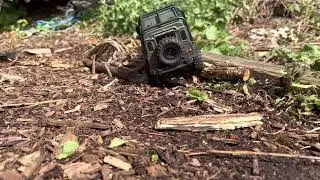 Ftx outback mini and fishing