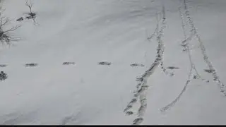 Mountaineers find 