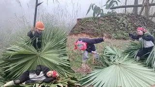 The Lazy Woman Who Skips Work and Her Lover Work Hard to Build a Thatched House