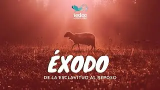 El golpe final- Exodo 11