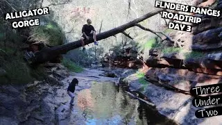 Three Under Two - Ep136 | Flinders Ranges Roadtrip Day 3 | Hiking Alligator Gorge With 3 Small Kids