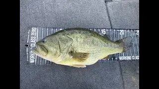 Upper Chesapeake Bay 23