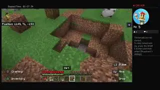 Entity303 seed Bluestreem's world