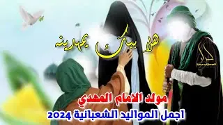 جديد اجمل مواليد شعبان 2024 افراح مولد الإمام المهدي 