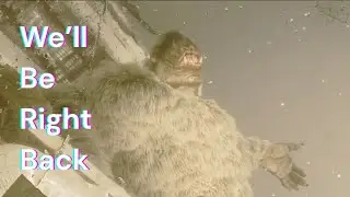 Getting Torn in Half by a MASSIVE Russian Yeti - Metro Exodus Part 3