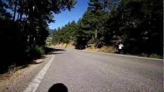 Insane Speed Longboarding