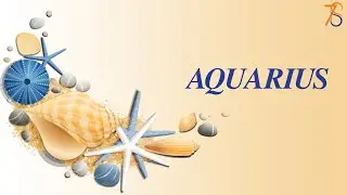 Aquarius Tarot Card Reading Today August 27, 2024