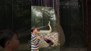 Clark Safari and Advnture park #family #familytime#kidsvideo#zoo #fun #memories #educationalvideo
