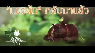 STRAY - ตอนที่1. “แมวส้ม” กลับมาแล้ว [PS5]