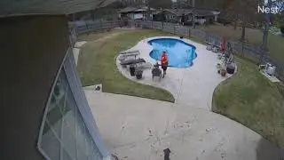 Got a little too close to the pool! Oops!