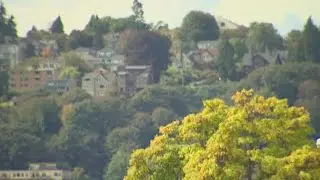 New Seattle laws could chop down tree population