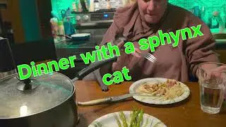 A moment at the dinner table with a Sphynx cat #sphynxcats #nakedcat #funny