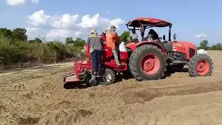 Potato #potato #irrigation #potato 
