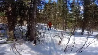 Bushwhacking with (the newer) Mike (Michigan Creek area, South Park, Colorado)