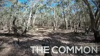 Prospecting Hill End Gold
