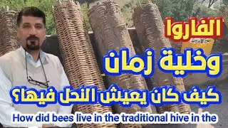 ماهي النتيجة اذا تركنا النحل كما خلقه الله ‼️ الاستاذ رشدي زريقي