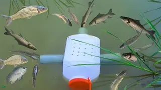 How Smart Boy Make Fish Trap Using Plastic Bottle To Catch A Fish? | Fishing Prashant #fishing