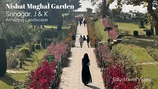 Nishat Garden Tour | Mughal Garden & Architecture | Landscape Masterpiece | D&eacute;rive Ep 03