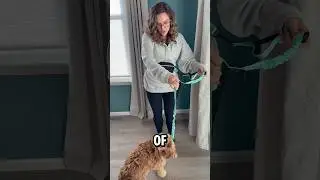 Прогулки без помощи рук = счастливые руки + счастливый щенок 🐶🤍 Кофе в одной руке, собачье настро...