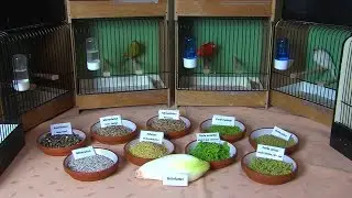myREGIO.TV: „Gut Hohl Hilfarth 1952“