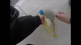 SKETCHY ICE 2020, FISH after FISH - SMASH FEST on the Pond