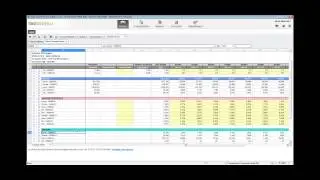 Drive Strategic Planning, Budgeting and Forecasting in the Cloud