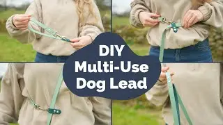 DIY 4-Way Waterproof Dog Lead | Hands-Free & Adjustable