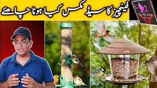 What should be the seed mix of finches?
