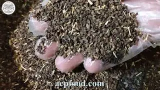 New Stock Syrian Rue, May 2024