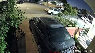 person lady striped shirt garage