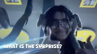 Guess what?? Life style of annu #my_new_vlog #ytvlogs #surprise #lifestyleofannu 