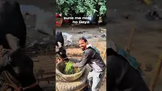 सुनें में मिस्टेक हों गया 😁😂 RK Sharma #comedy #trending #viral #video #youtube # short video # 🙏🙏