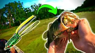 Topwater Frog Fishing in BRUTAL Winds | Spring Lake on the Mississippi River
